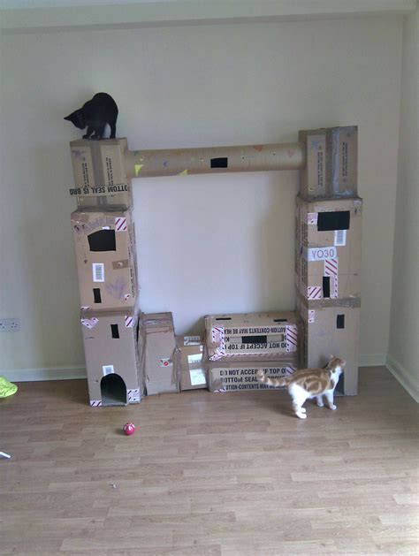 Cardboard Box Cat Fort