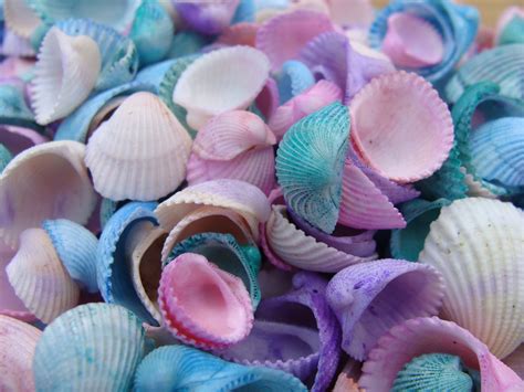 Pastel Sea Shell Mix For Crafts