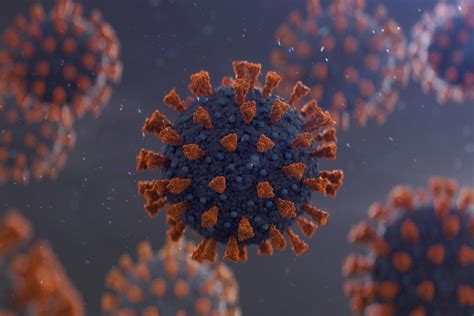 Tschechische grenzkontrollbestimmungen für die einreise seit 5. Coronavirus: Die wichtigsten Meldungen des Tages