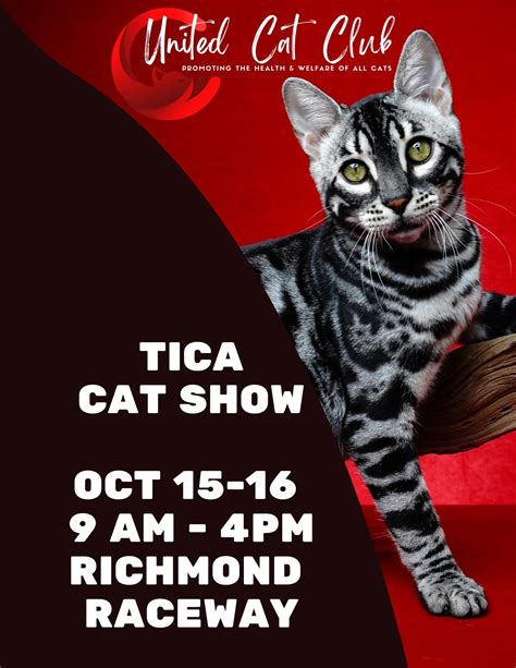 Tica Cat Show Richmond Raceway Tickets In Richmond Va United States