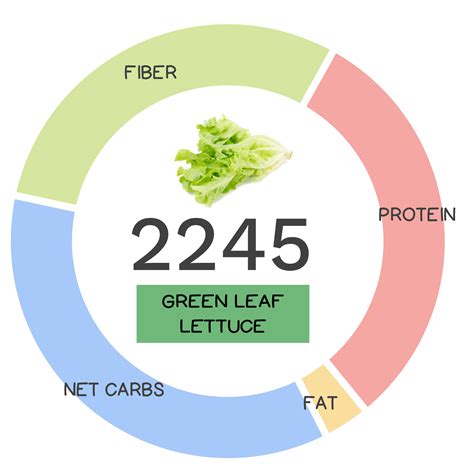 Green Leaf Lettuce Nutrients