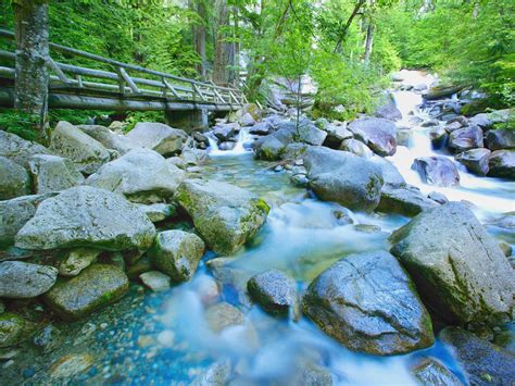 Free Photo Fast Flowing River Creek Nature River Free Download
