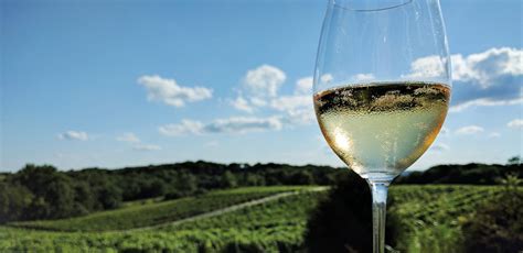 Maybe you would like to learn more about one of these? Grape Expectations | Kansas City Homes & Style