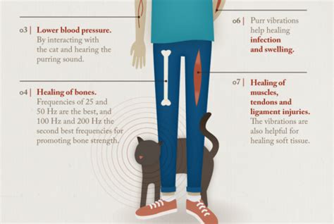Scratching marks territories, communicates conflicted feelings, and maintains claw health. The Healing Power of the Cat Purr | Cat purr, Purring, Cats