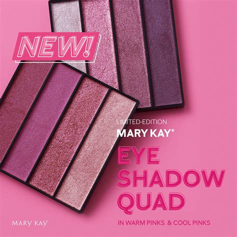 Mary Kay Eyeshadow Pink Eyeshadow Look Quad Eye Blending Brush Mary Kay Inc Selling Mary