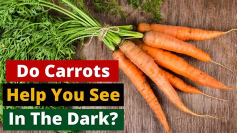 Do Carrots Help You See In The Dark Here Is Some Interesting Facts
