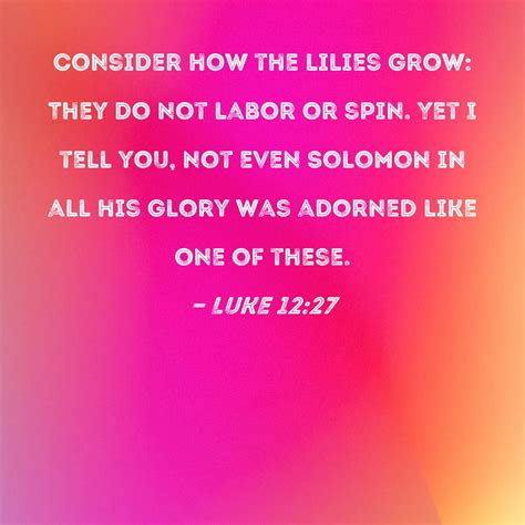Luke 1227 Consider How The Lilies Grow They Do Not Labor Or Spin Yet