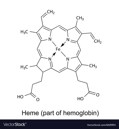Structural Chemical Formula Of Heme Molecule Vector Image