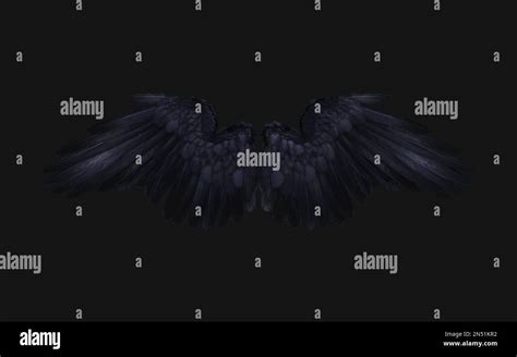 3d Illustration Of Crow Wing Demon Wings Black Wing Plumage Isolated