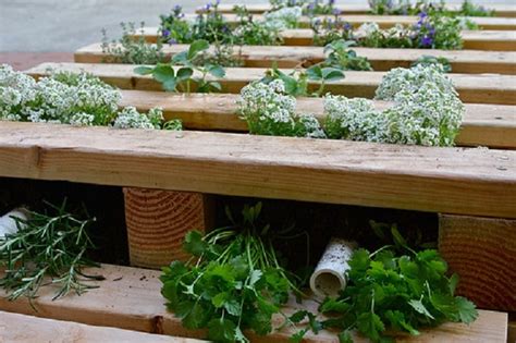 Maybe you would like to learn more about one of these? 25 Ways Of How To Use Pallets In Your Garden