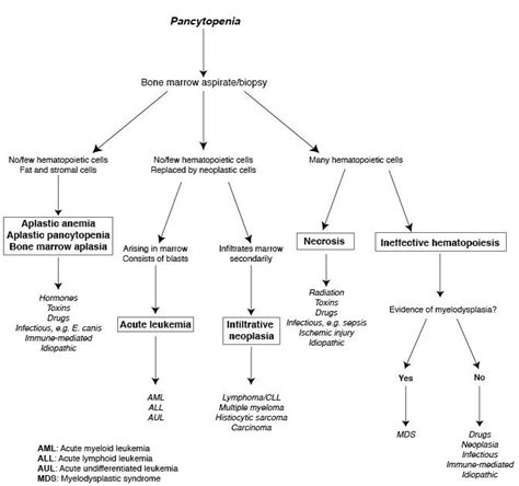 Antibiotic That Causes Aplastic Anemia