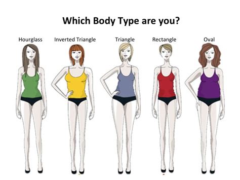 Woman Body Types Body Types Polisthenics How Many Different Body