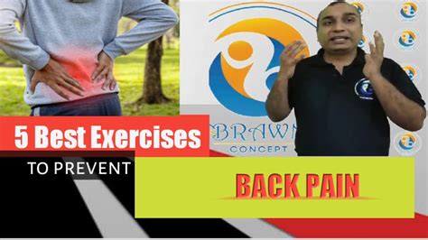 5 Best Exercise To Prevent Back Pain Youtube