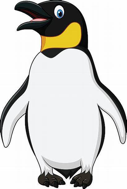 Penguin Emperor Vector Standing Background Illustration King