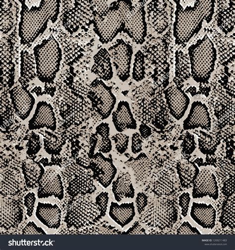 Snake Skin Pattern Design Vector Illustration Background Image Vector