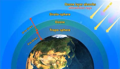 The ozone layer is one layer of the stratosphere, the second ozone is only a trace gas in the atmosphere—only about 3 molecule s for every 10 million molecules of air. HOW THE OZONE LAYER HOLE OVER ARCTIC CLOSED? - Legacy IAS ...