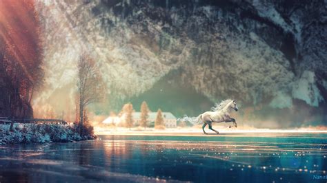 Horse Running Fantasy Hd Wallpapers Hd Wallpapers Id 32168