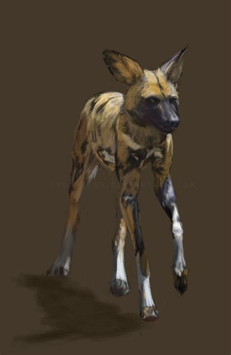 Painted Dog Speed Paint By Freakzter Canine Art Safari Art Animal
