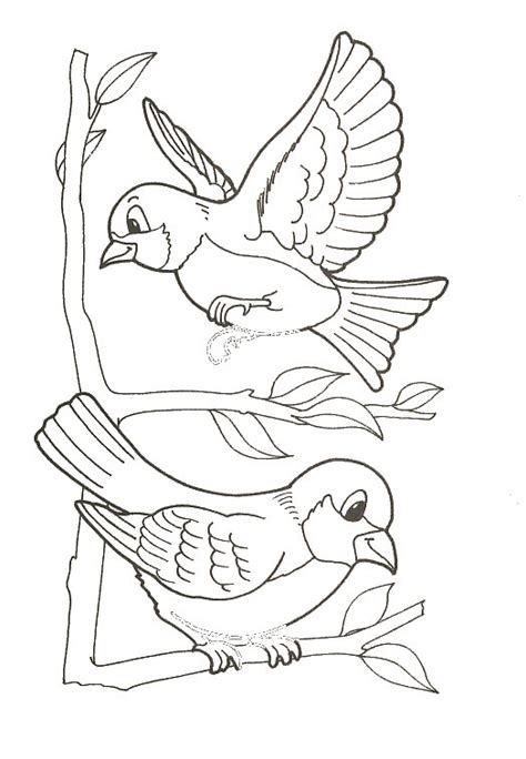 coloriage Oiseaux  Libro de colores, Pajaros para colorear, Páginas