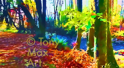 Colored Creek Horizontalt British Columbia Art By Artist Tony Max
