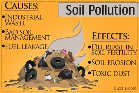 Soil Pollution Causes And Effects That Are Seriously Eye Opening