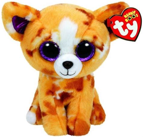 Ty Beanie Boo Plush Lindi The Cat 15cm 15 Cm Multicoloured Compra