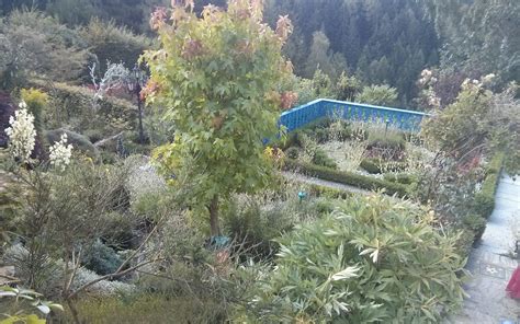 Hängende gärten der freund gmbh werden ebenfalls in einer manufaktur hergestellt. Die Hängenden Gärten der Sulamith | Garten Europa