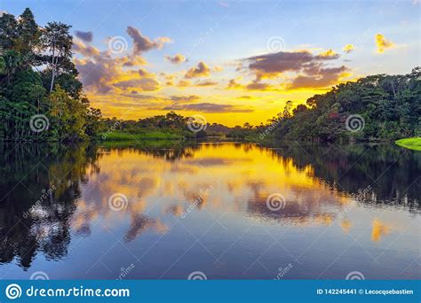 Amazon Rainforest With Blue Sky And Mirror Reflections In The Water