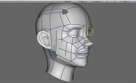 Topology Tutorial Head Topology Techniques · 3dtotal · Learn Create