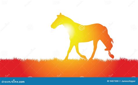 Horse On A Meadow Stock Vector Illustration Of Farm Light 9407300