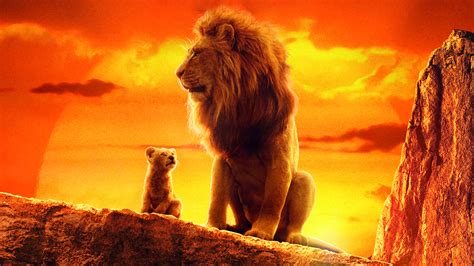 The Lion King 2019 4k Movie Hd Movies 4k Wallpapers Images