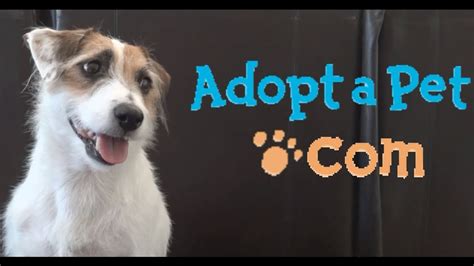 Adopt cute pets decorate your home explore the world of adopt me! Jesse's Adopt-a-Pet.com Promo - YouTube