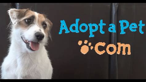 Held four times per year, that's over 100,000 lives transformed through pet adoption at petsmart stores across north america. Jesse's Adopt-a-Pet.com Promo - YouTube