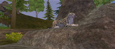 Snow Leopard Zoo Tycoon Wiki Fandom Powered By Wikia