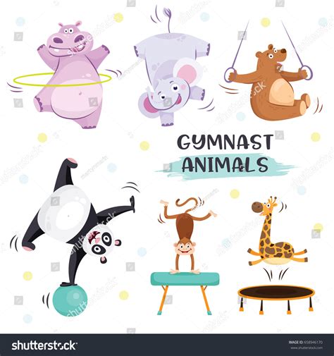 3074 Animal Gymnastics Cartoon Images Stock Photos And Vectors