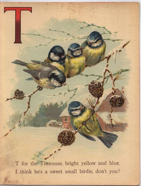 Full Sized Image Dear Dickies Abc Tuckdb Ephemera Vintage Birds
