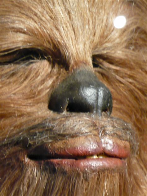 Find high quality chewbacca coloring page, all coloring page images can be downloaded for free for personal use only. Chewbacca face | Flickr - Photo Sharing!