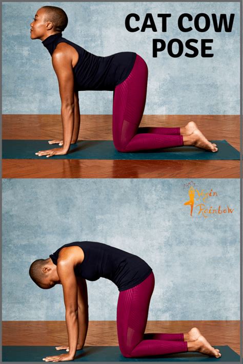 Cat Cow Yoga Pose Benefits Cat Pose Marjaryasana The Cat Pose Marjaryasana In Yoga Stretches And Strengthens Your Spine To Help Improve Your Posture And Balance Kesenian Golek Sunda