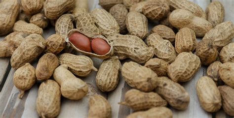The group said on its website: National Peanut Day in 2021/2022 - When, Where, Why, How ...