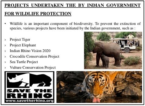 Wildlife presentation