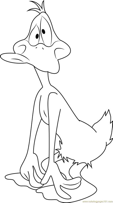 Baby Daffy Duck Coloring Pages Flying Mallard Kaczka Kolorowanki