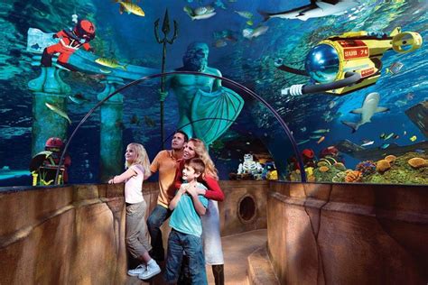 Legoland Reopens Sea Life Aquarium Just In Time For Fathers Day