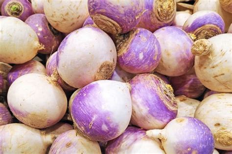 What Do Turnips Taste Like Do Turnips Taste Good Eatdelights