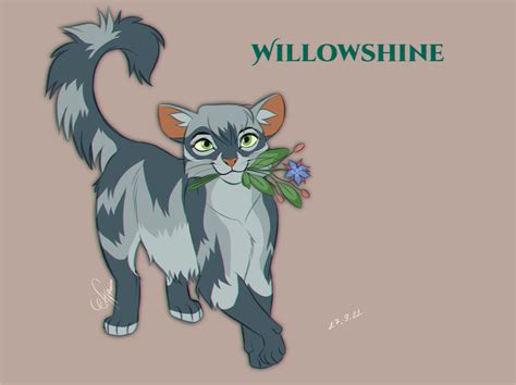 Willowshine Design Warriors Cats By Angeldalet On Deviantart
