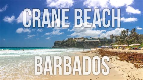 Crane Beach Barbados Youtube