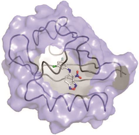 Figure 2 Structure Of Small Molecule Inhibitor Bound To Protein