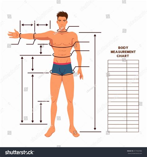 Always measure on bare skin and not over clothing. Male Body Measurement Chart Scheme Measurement Stock ...