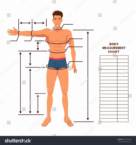 Welcome to innerbody.com, a free educational resource for learning about human anatomy and physiology. Male Body Measurement Chart Scheme Measurement Stock ...