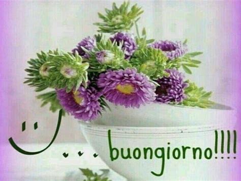 Bellissime immagini, ma non ho trovato il fiore che mi hanno regalato e vorrei cercare di mantenere senza farlo morire. Buongiorno Mazzi Di Fiori Immagini / Mazzo Di Fiori Per ...
