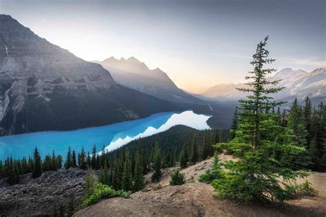 Peyto Lake Banff Canada Aurore Alifanti Photographie